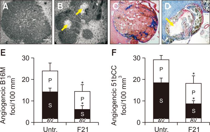 https://cdn.ncbi.nlm.nih.gov/pmc/blobs/9e9f/8902452/c9979cf58493/bt-30-2-162-f3.jpg