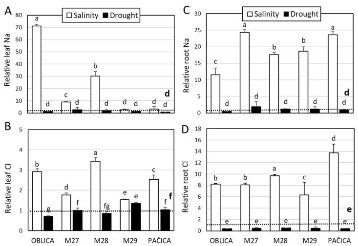 https://cdn.ncbi.nlm.nih.gov/pmc/blobs/9ea1/11435225/b6783e0384f3/plants-13-02549-g002.jpg