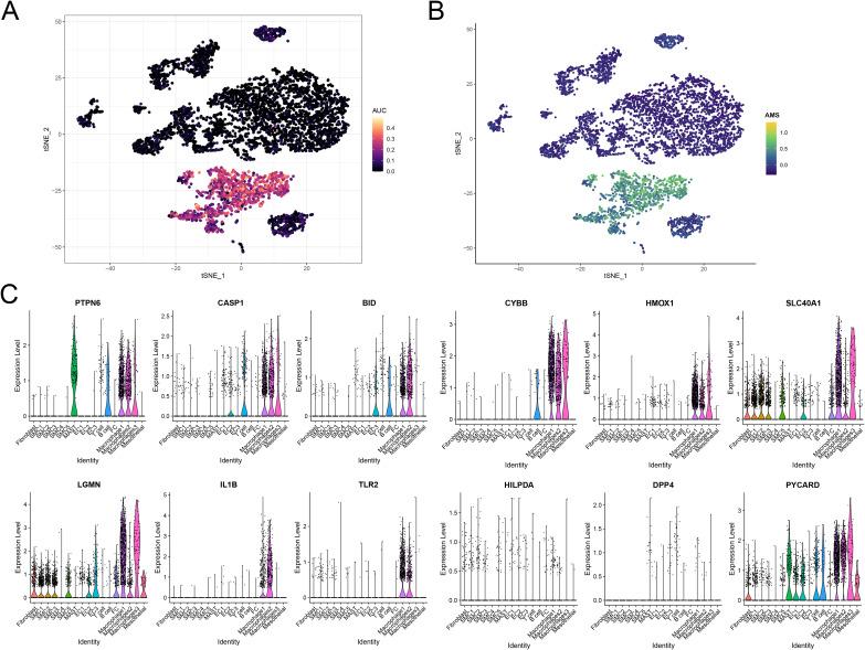 https://cdn.ncbi.nlm.nih.gov/pmc/blobs/9ea2/12301254/7868d0276ff6/JIR-18-9767-g0008.jpg