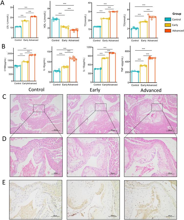https://cdn.ncbi.nlm.nih.gov/pmc/blobs/9ea2/12301254/eecc00a1f6a6/JIR-18-9767-g0011.jpg