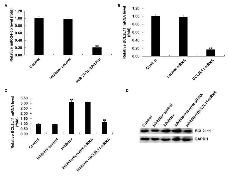 https://cdn.ncbi.nlm.nih.gov/pmc/blobs/9ea2/7086294/1b74a94bfa2a/etm-19-04-2467-g02.jpg
