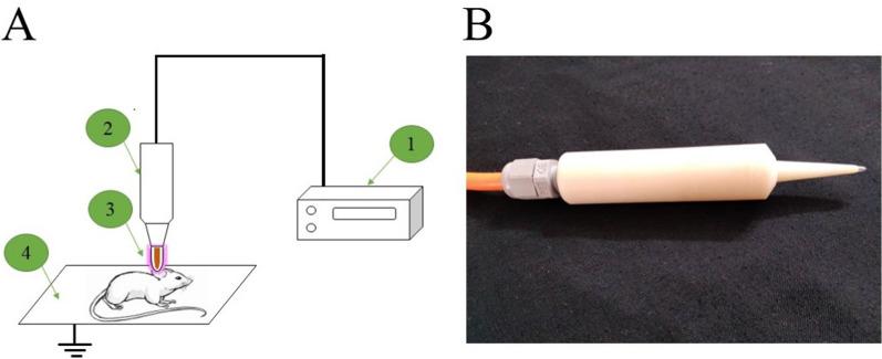 https://cdn.ncbi.nlm.nih.gov/pmc/blobs/9ea4/11390991/3942e908f0ab/13568_2024_1748_Fig1_HTML.jpg