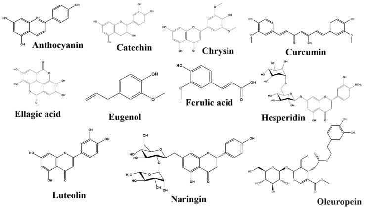 https://cdn.ncbi.nlm.nih.gov/pmc/blobs/9ea4/9413544/31927ea53d43/nutrients-14-03270-g004.jpg