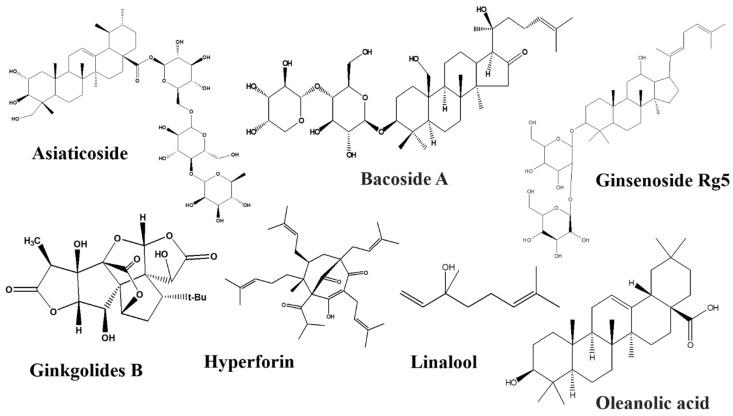 https://cdn.ncbi.nlm.nih.gov/pmc/blobs/9ea4/9413544/8d47d57d78a4/nutrients-14-03270-g006.jpg