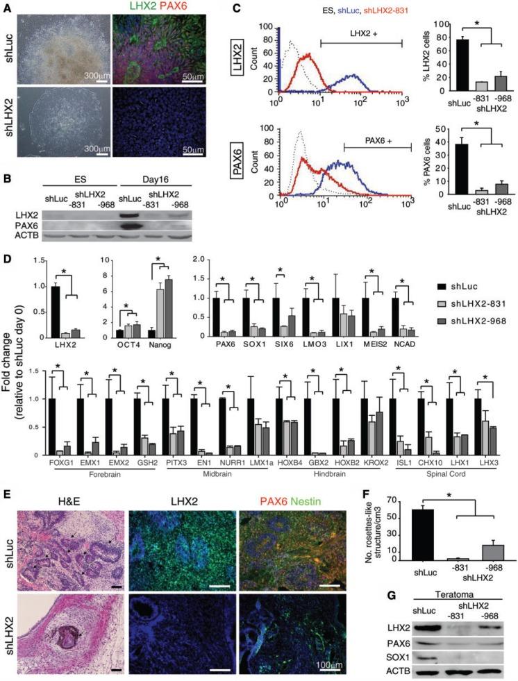 https://cdn.ncbi.nlm.nih.gov/pmc/blobs/9ea6/3763550/653f3c6343be/gkt567f3p.jpg