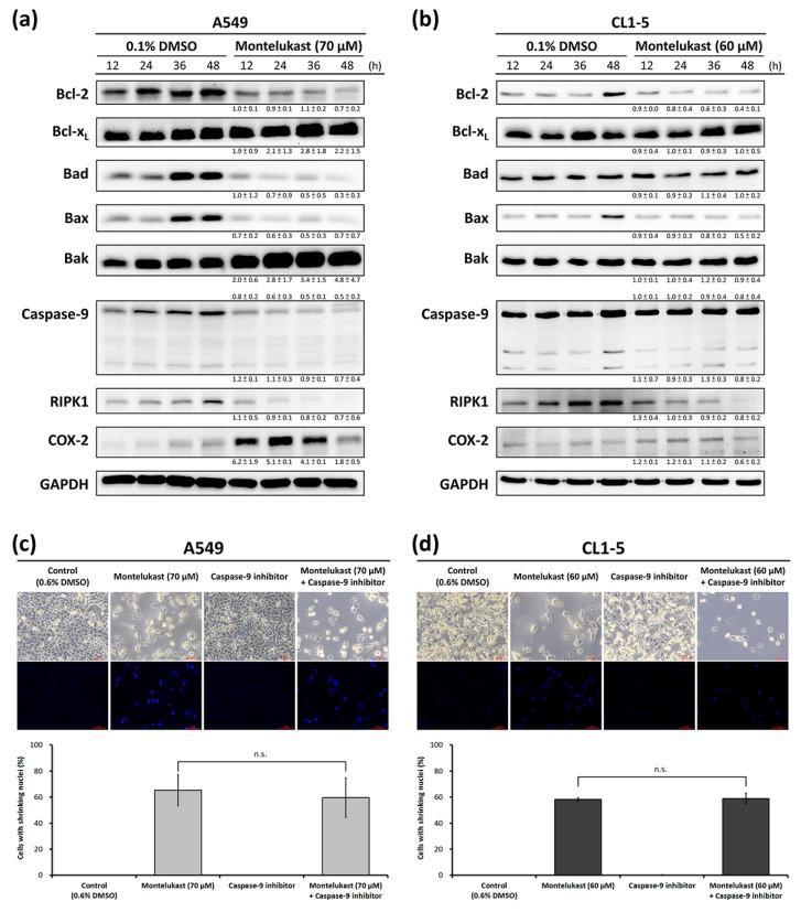https://cdn.ncbi.nlm.nih.gov/pmc/blobs/9ea6/5535846/e5ce4940277f/ijms-18-01353-g003.jpg