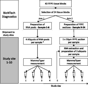 https://cdn.ncbi.nlm.nih.gov/pmc/blobs/9ea9/5426065/828c367eaf32/13058_2017_848_Fig1_HTML.jpg