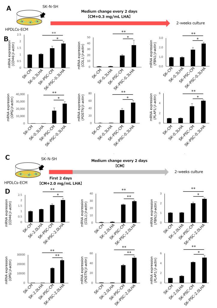https://cdn.ncbi.nlm.nih.gov/pmc/blobs/9eaa/10705959/9b12d88ee8fb/cells-12-02743-g006.jpg
