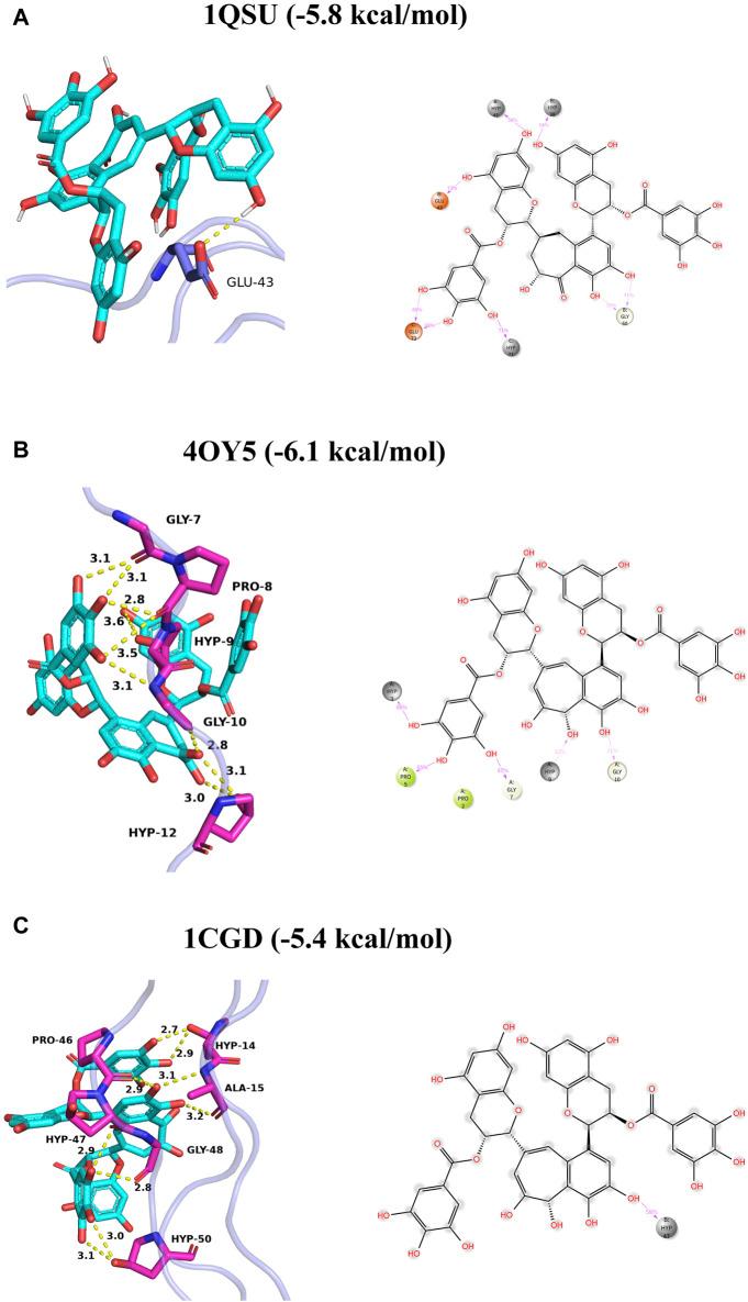 https://cdn.ncbi.nlm.nih.gov/pmc/blobs/9eaa/11133682/64e1f9a42f74/fbioe-12-1401032-g002.jpg