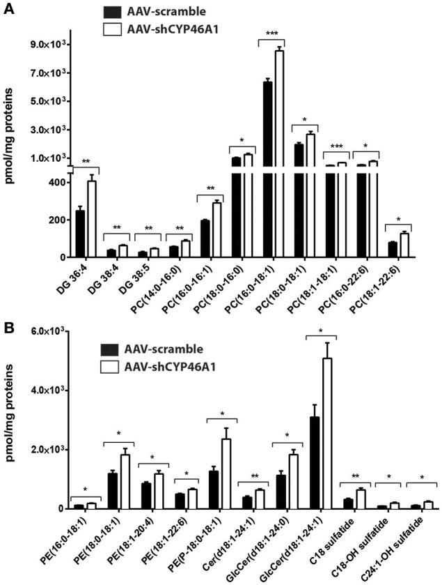 https://cdn.ncbi.nlm.nih.gov/pmc/blobs/9eaa/5504187/664c61be2ca1/fnmol-10-00211-g0003.jpg