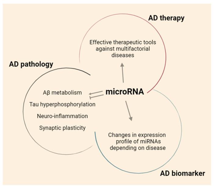 https://cdn.ncbi.nlm.nih.gov/pmc/blobs/9eaa/8657443/184eefcc11c1/ijms-22-13012-g001.jpg
