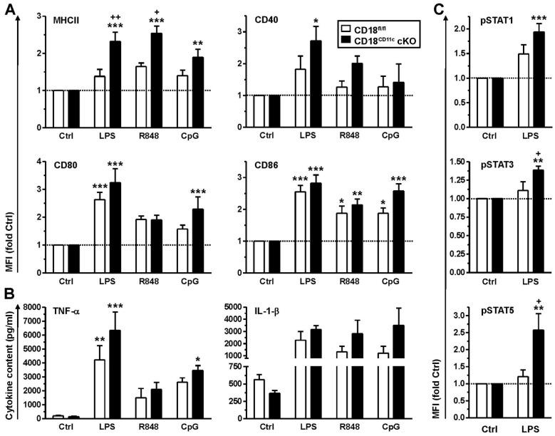 https://cdn.ncbi.nlm.nih.gov/pmc/blobs/9eaa/9322999/1bd3dbebf0e7/cells-11-02188-g003.jpg