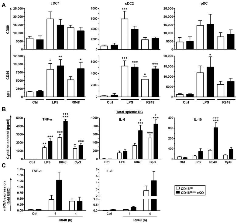 https://cdn.ncbi.nlm.nih.gov/pmc/blobs/9eaa/9322999/6c1eee3a0ab1/cells-11-02188-g002.jpg