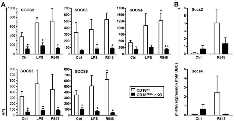 https://cdn.ncbi.nlm.nih.gov/pmc/blobs/9eaa/9322999/939489aaeb4b/cells-11-02188-g004.jpg