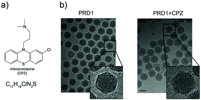 https://cdn.ncbi.nlm.nih.gov/pmc/blobs/9eab/8667075/e30c099c0459/d1nr04153c-f1.jpg