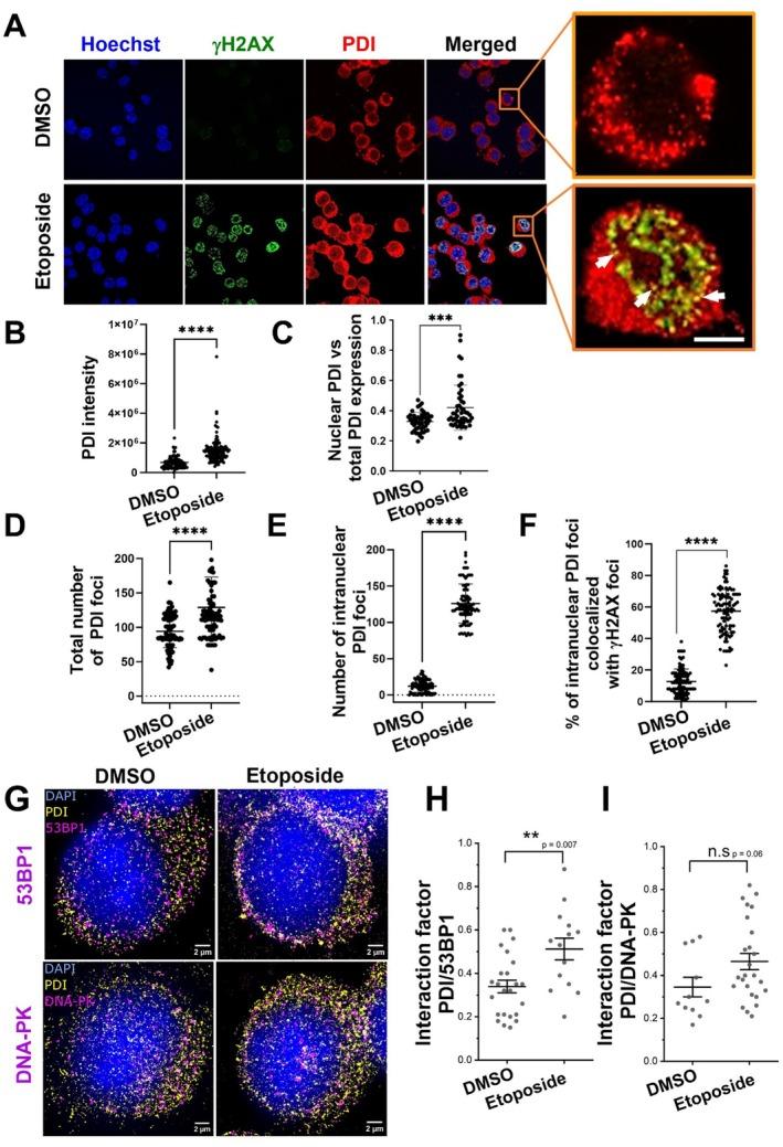 https://cdn.ncbi.nlm.nih.gov/pmc/blobs/9ead/12266753/e6f0feec4b28/ACEL-24-e70079-g008.jpg