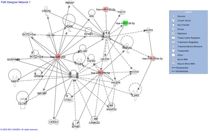 https://cdn.ncbi.nlm.nih.gov/pmc/blobs/9eb0/10033803/87232a7678f2/10815_2023_2724_Fig4_HTML.jpg