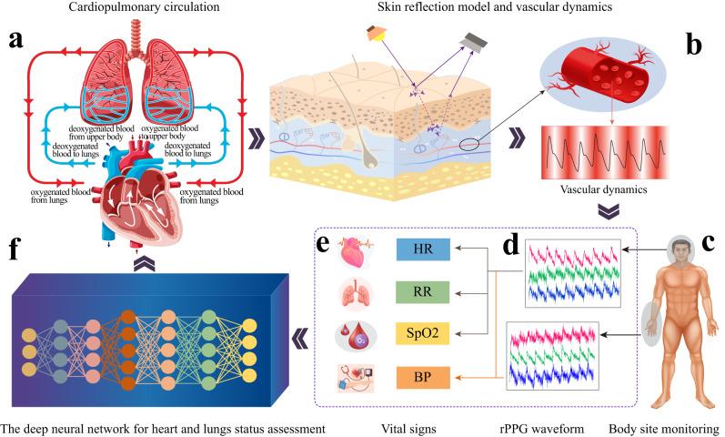 https://cdn.ncbi.nlm.nih.gov/pmc/blobs/9eb1/10721846/6fc3695632df/41746_2023_973_Fig1_HTML.jpg