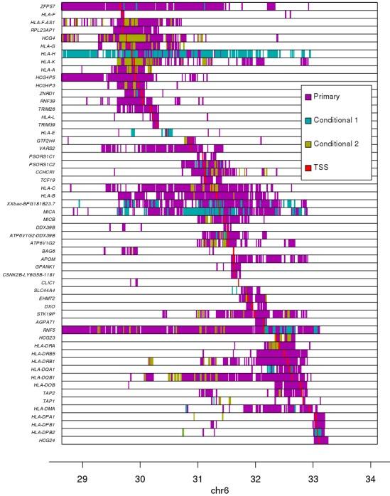 https://cdn.ncbi.nlm.nih.gov/pmc/blobs/9eb1/6904215/5231e5aac3d2/elife-48476-fig4.jpg