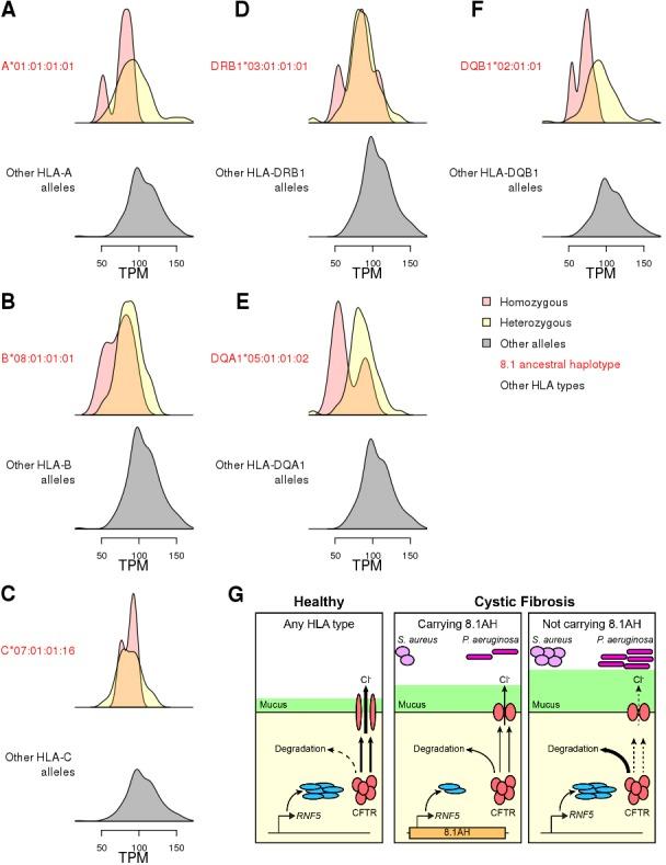 https://cdn.ncbi.nlm.nih.gov/pmc/blobs/9eb1/6904215/75a933ddf744/elife-48476-fig8.jpg