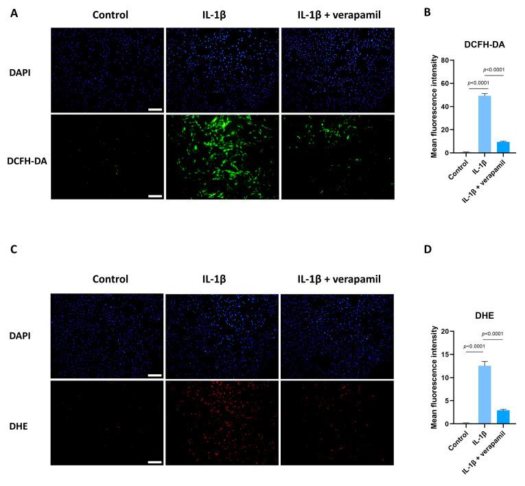 https://cdn.ncbi.nlm.nih.gov/pmc/blobs/9eb2/11048132/2cee15b926f2/biomedicines-12-00904-g005.jpg