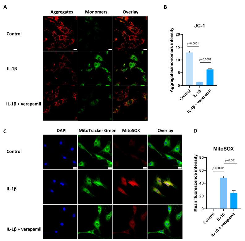 https://cdn.ncbi.nlm.nih.gov/pmc/blobs/9eb2/11048132/30960d3de873/biomedicines-12-00904-g006.jpg
