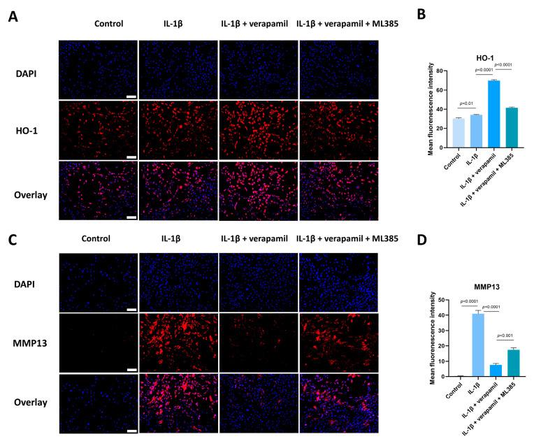 https://cdn.ncbi.nlm.nih.gov/pmc/blobs/9eb2/11048132/4cdead8a89b7/biomedicines-12-00904-g008.jpg