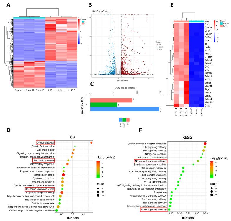 https://cdn.ncbi.nlm.nih.gov/pmc/blobs/9eb2/11048132/a9b5a67aa07f/biomedicines-12-00904-g003.jpg