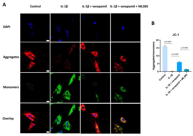 https://cdn.ncbi.nlm.nih.gov/pmc/blobs/9eb2/11048132/bb3b7f14d683/biomedicines-12-00904-g009.jpg