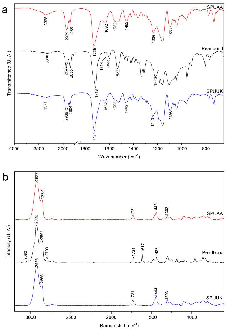 https://cdn.ncbi.nlm.nih.gov/pmc/blobs/9eb3/11125268/35fd274967e1/polymers-16-01314-g003.jpg