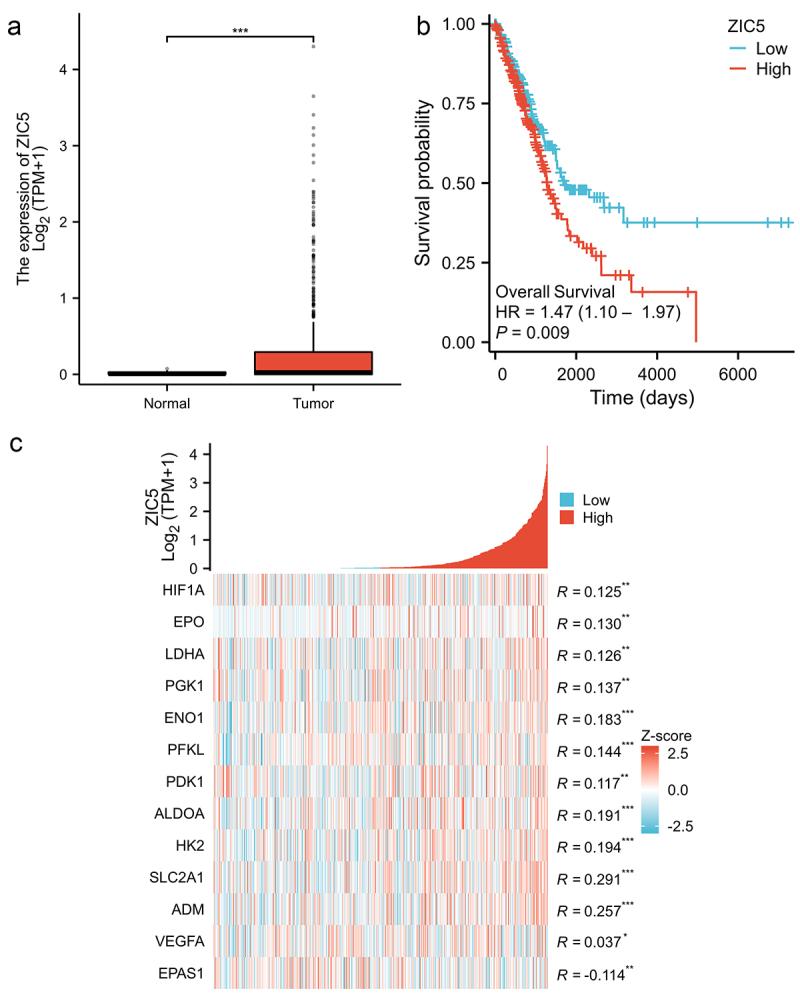 https://cdn.ncbi.nlm.nih.gov/pmc/blobs/9eb4/12080275/14cc3d6595fd/KCBT_A_2501780_F0001_OC.jpg