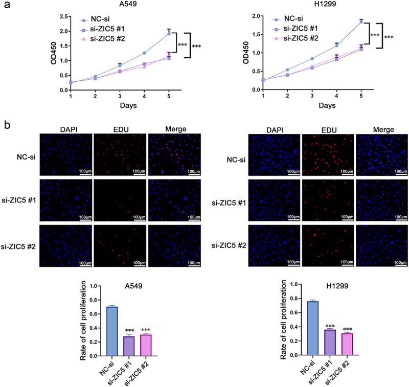 https://cdn.ncbi.nlm.nih.gov/pmc/blobs/9eb4/12080275/4fa63bc058d1/KCBT_A_2501780_F0003_OC.jpg