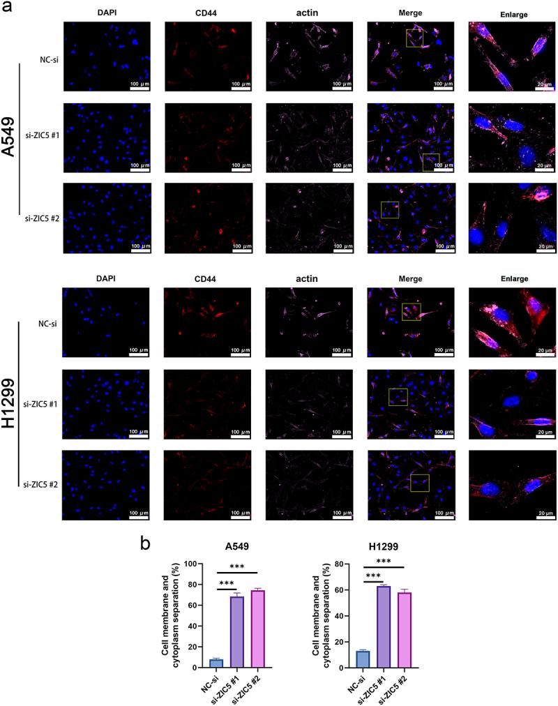 https://cdn.ncbi.nlm.nih.gov/pmc/blobs/9eb4/12080275/9be3d9757c41/KCBT_A_2501780_F0007_OC.jpg