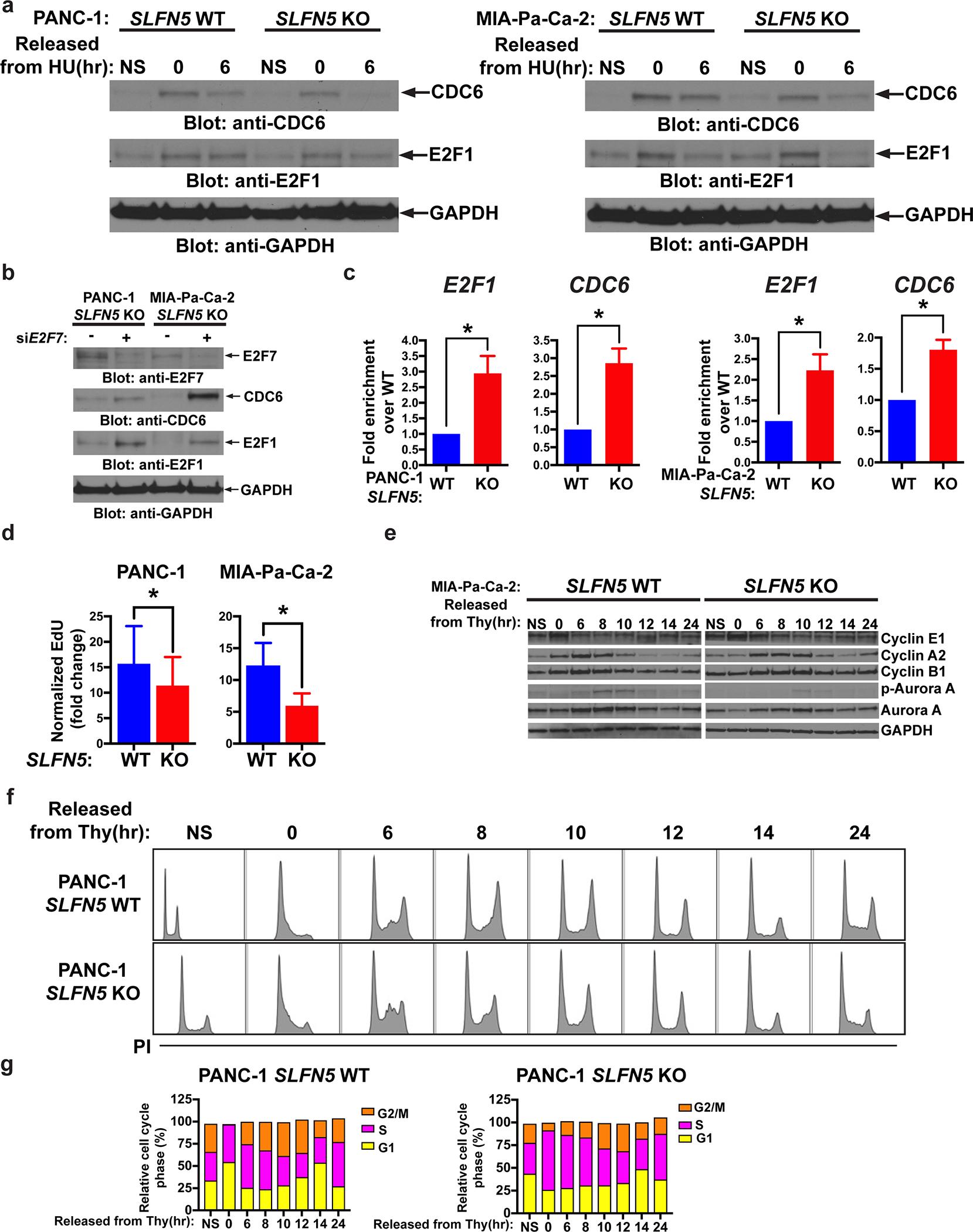 https://cdn.ncbi.nlm.nih.gov/pmc/blobs/9eb6/8106654/1c7c536f0b2d/nihms-1684802-f0005.jpg