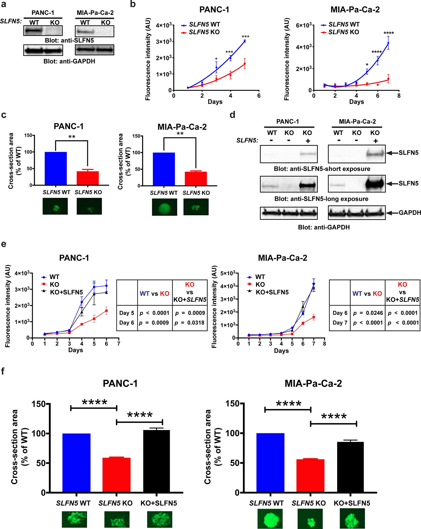 https://cdn.ncbi.nlm.nih.gov/pmc/blobs/9eb6/8106654/d63f826a6038/nihms-1684802-f0003.jpg