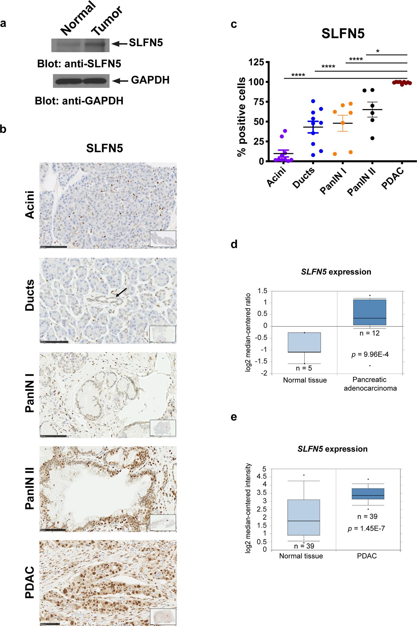 https://cdn.ncbi.nlm.nih.gov/pmc/blobs/9eb6/8106654/dbaa7f97e616/nihms-1684802-f0001.jpg