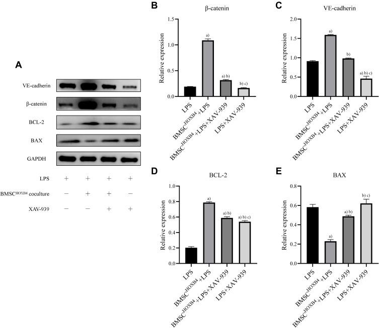 https://cdn.ncbi.nlm.nih.gov/pmc/blobs/9eb7/8326777/2c5068a565b4/JIR-14-3637-g0005.jpg