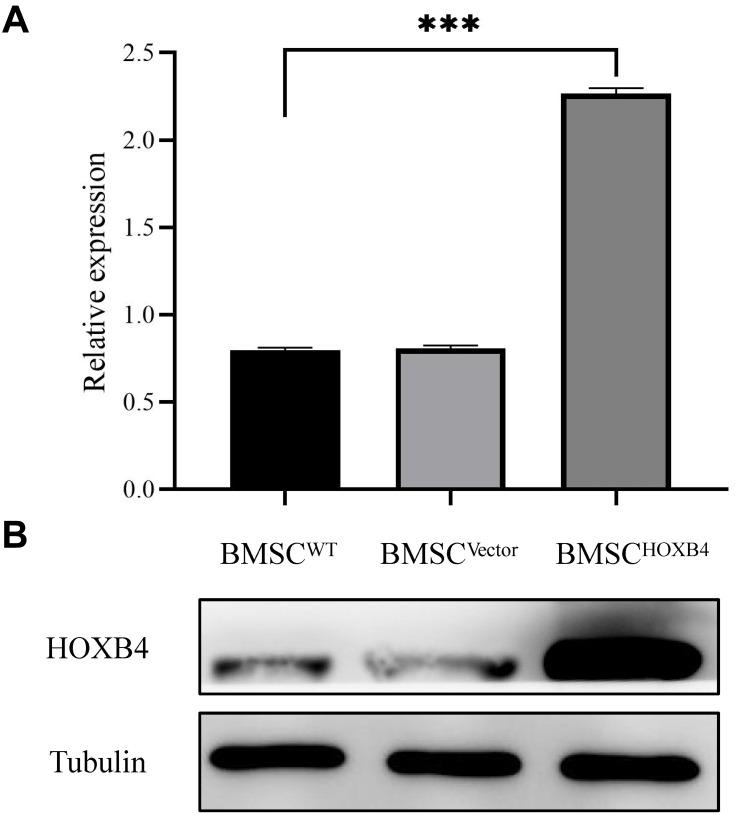 https://cdn.ncbi.nlm.nih.gov/pmc/blobs/9eb7/8326777/35e2b627ad88/JIR-14-3637-g0001.jpg