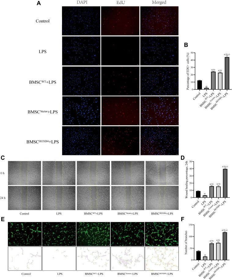 https://cdn.ncbi.nlm.nih.gov/pmc/blobs/9eb7/8326777/daf09120caa5/JIR-14-3637-g0002.jpg