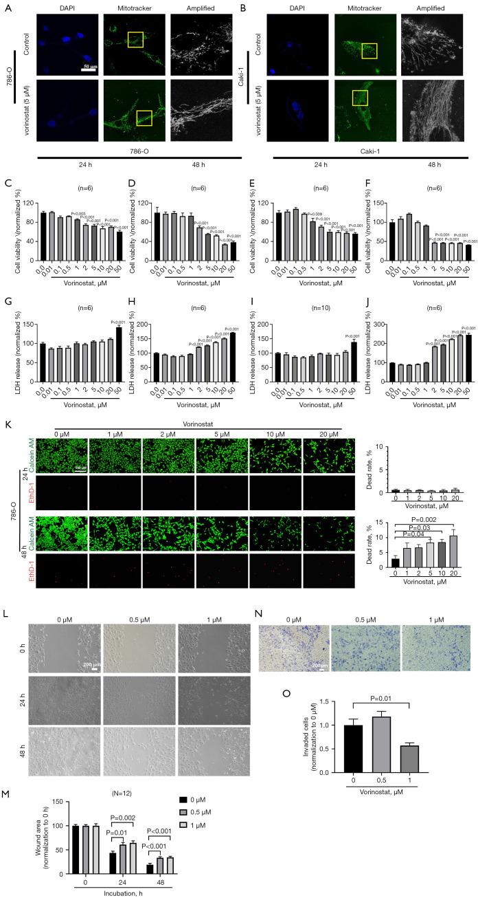 https://cdn.ncbi.nlm.nih.gov/pmc/blobs/9eb9/11921268/173f88a111de/tau-14-02-360-f8.jpg