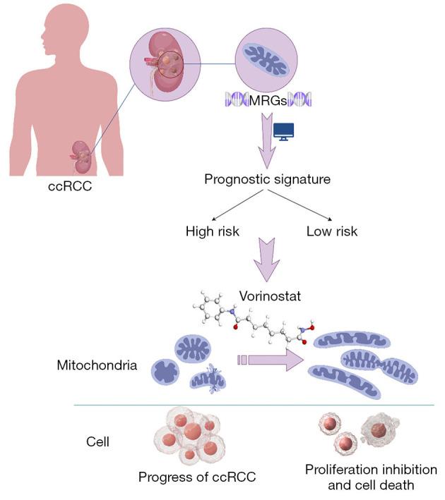 https://cdn.ncbi.nlm.nih.gov/pmc/blobs/9eb9/11921268/cb856377f7b7/tau-14-02-360-f9.jpg