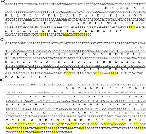 https://cdn.ncbi.nlm.nih.gov/pmc/blobs/9ebc/5392222/5436a1b5754f/IBJ-21-190-g001.jpg