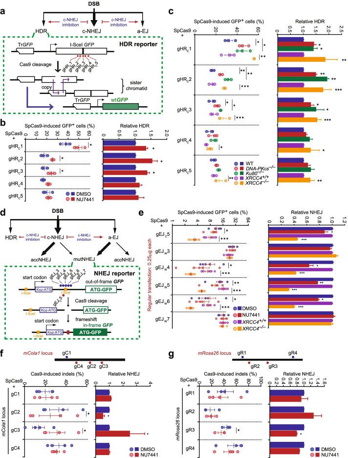 https://cdn.ncbi.nlm.nih.gov/pmc/blobs/9ebc/9341079/1f3cda28a824/13059_2022_2736_Fig1_HTML.jpg