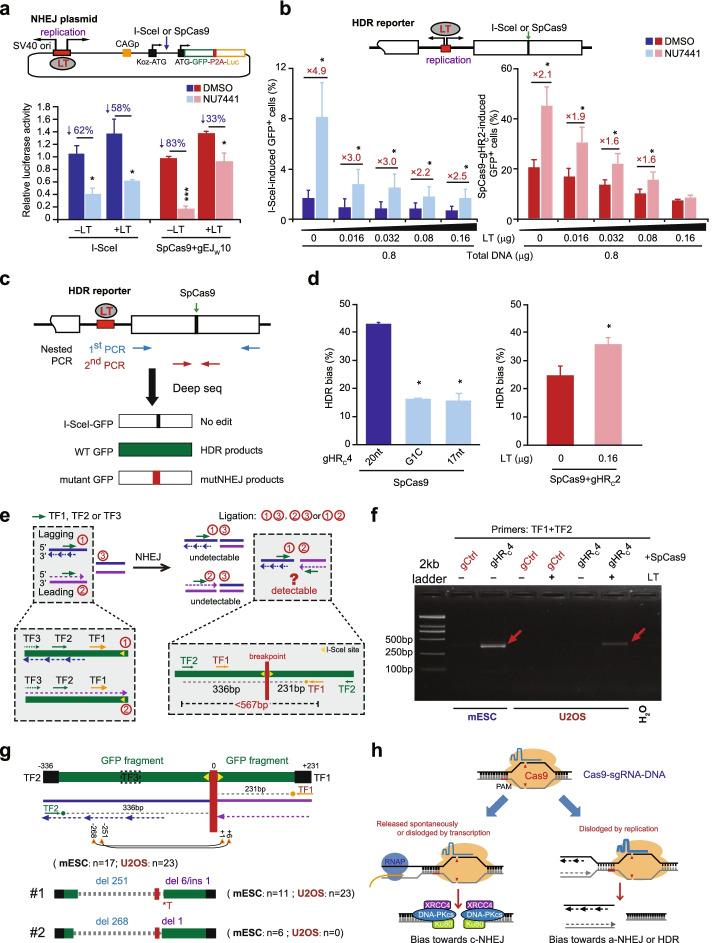 https://cdn.ncbi.nlm.nih.gov/pmc/blobs/9ebc/9341079/5af00959a303/13059_2022_2736_Fig7_HTML.jpg