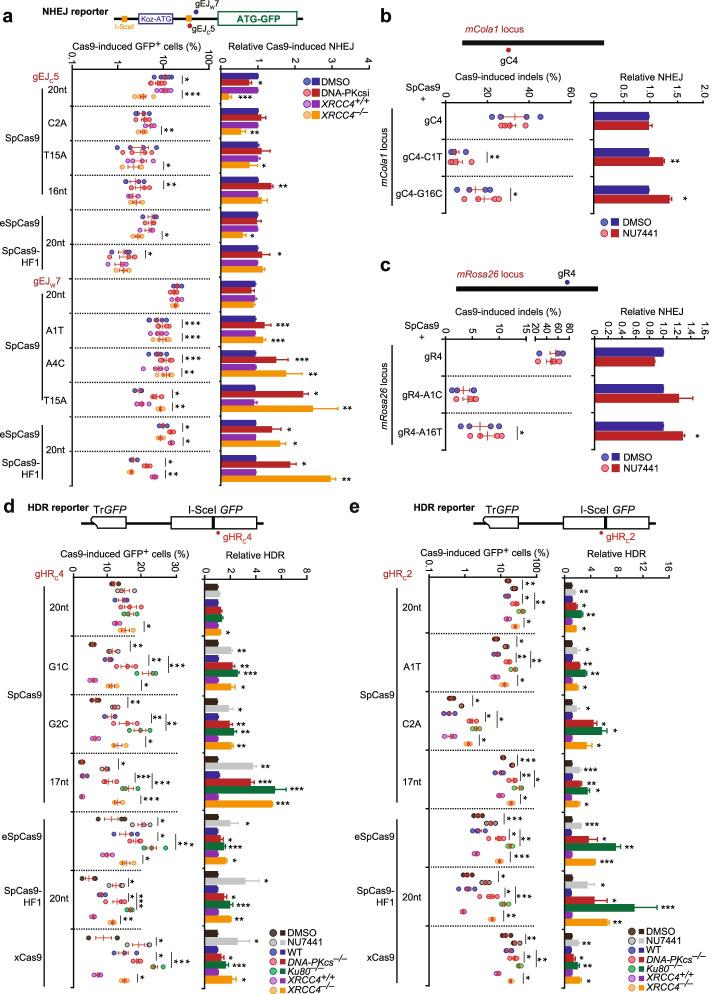 https://cdn.ncbi.nlm.nih.gov/pmc/blobs/9ebc/9341079/8a3f16e315dc/13059_2022_2736_Fig3_HTML.jpg
