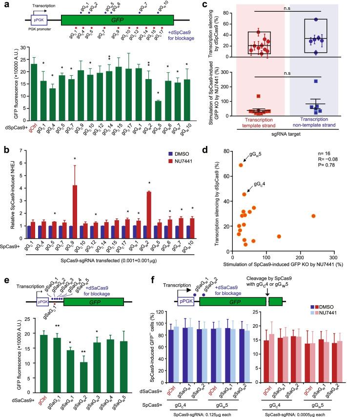 https://cdn.ncbi.nlm.nih.gov/pmc/blobs/9ebc/9341079/9a42e4a6d8cd/13059_2022_2736_Fig6_HTML.jpg