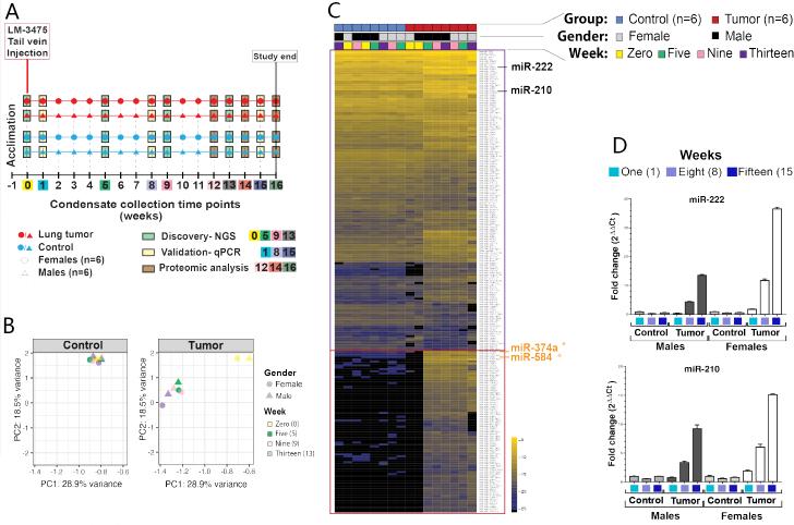 https://cdn.ncbi.nlm.nih.gov/pmc/blobs/9ebd/11648429/333cf8a087ce/evcna-5-1-138.fig.3.jpg