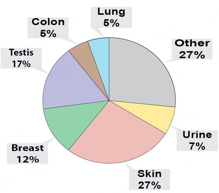 https://cdn.ncbi.nlm.nih.gov/pmc/blobs/9ebd/11648429/519690b7c541/evcna-5-1-138.fig.4.jpg