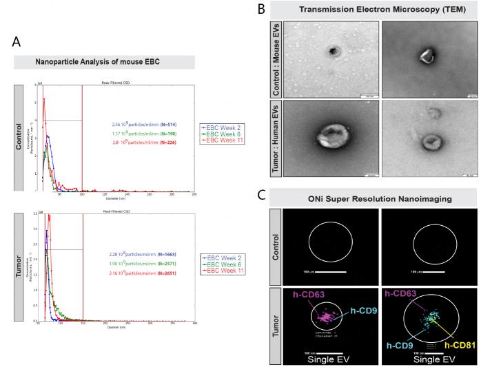 https://cdn.ncbi.nlm.nih.gov/pmc/blobs/9ebd/11648429/8f3e4a3dc460/evcna-5-1-138.fig.6.jpg