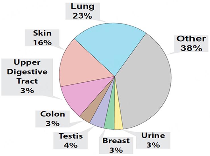 https://cdn.ncbi.nlm.nih.gov/pmc/blobs/9ebd/11648429/f289b1d190c1/evcna-5-1-138.fig.8.jpg